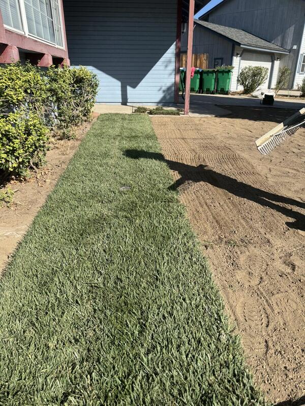 Fertilizing - Alpha Villa Green Maintenance