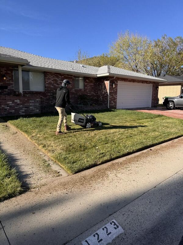 Lawn Mowing - Alpha Villa Green Maintenance