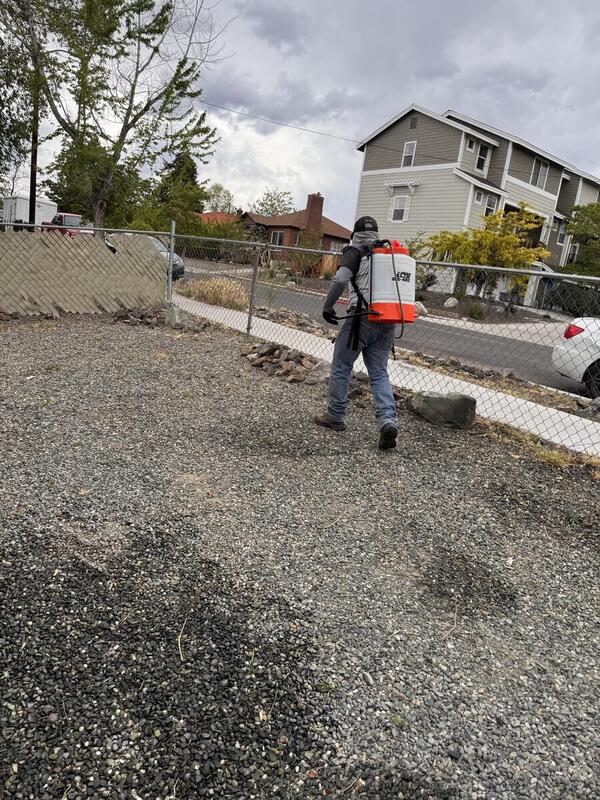 Weed Control - Alpha Villa Green Maintenance